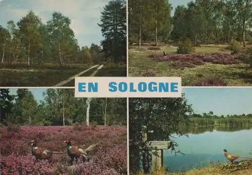 Frankreich - Frankreich - Sologne - 4 Teilbilder - ca. 1980