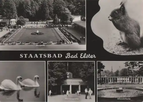 Bad Elster - u.a. Wandelhalle - 1968