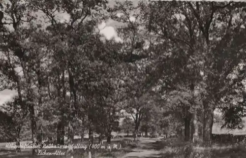 Holzminden-Neuhaus - Eichen-Allee