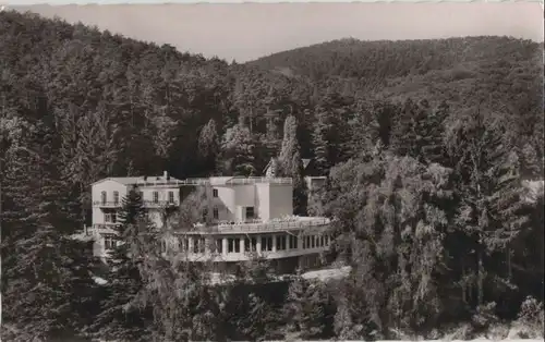 Bad Bergzabern - Parkhotel - 1959