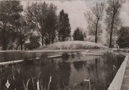 Köln - Bundesgartenschau, Blumenbecken mit Wasserspiel - 1958