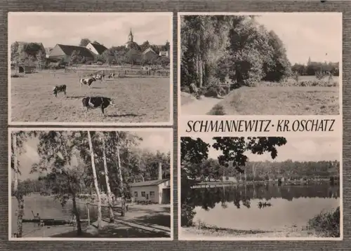 Dahlen-Schmannewitz - 4 Teilbilder - 1967