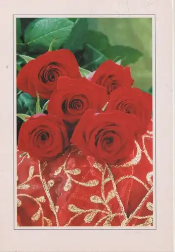 Rosen rotblühend