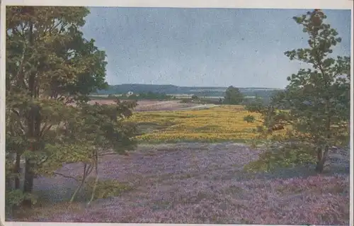 Blühende Landschaft - ca. 1960