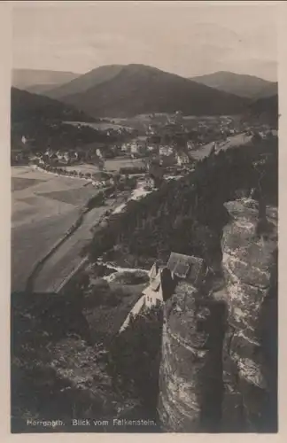 Bad Herrenalb - Blick vom Falkenstein - 1928