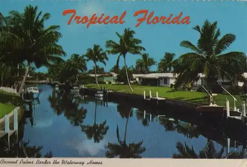 USA - USA - Florida - Coconut Palms border the waterway - 1981