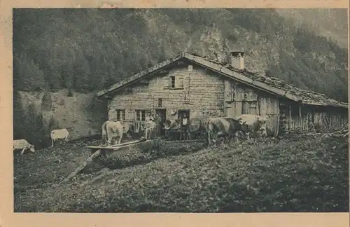 Allgäuer Alpen - Buchraineralpe im Birgsautal