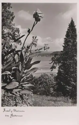 Insel Mainau im Bodensee - ca. 1955
