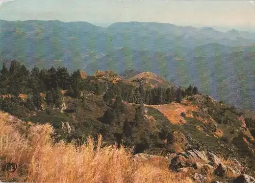 Frankreich - Frankreich - Massif de l Aigoual (Gardi) - 1979