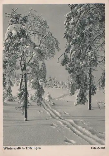 Thüringen - Winterwald - ca. 1950