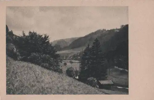 Blick ins Wiesental - ca. 1955