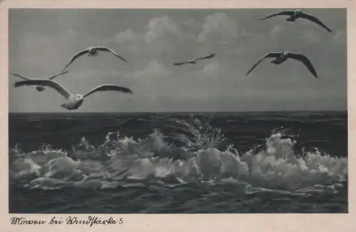 Norderney - Möwen bei Windstärke 5 - ca. 1950