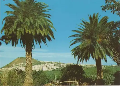 Spanien - Arucas - Spanien - hinter Palmen