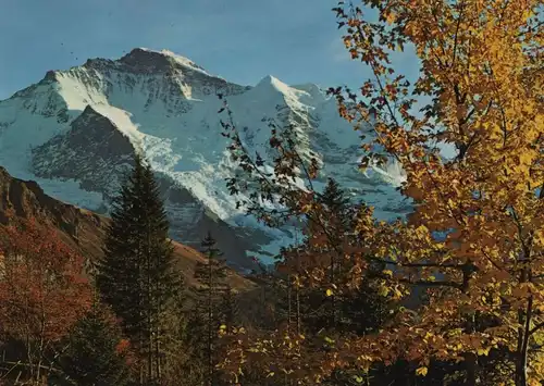 Schweiz - Wengen - Schweiz - Jungfrau