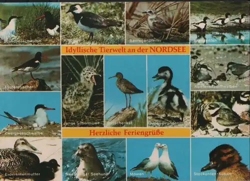 Nordsee - Idyllische Tierwelt - 1987