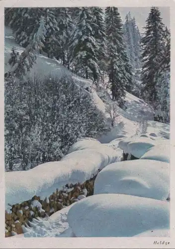 Winterlandschaft im Wald - ca. 1970