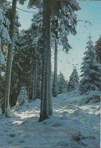 Herzliche Weihnachtsgrüße Winterwald