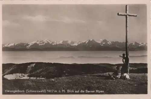 Herzogenhorn - Blick auf die Berner Alpen - ca. 1955