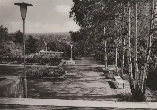 Erfurt - Internationale Gartenbauausstellung, Irisgarten - ca. 1965