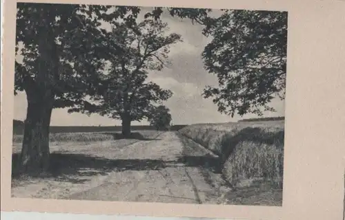 Am Feld entlang - ca. 1955
