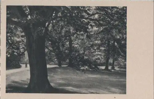 Partie im Park - ca. 1955