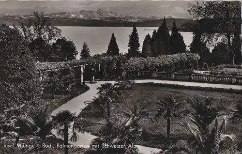 Mainau - Palmengarten mit Schweizer Alpen - 1954