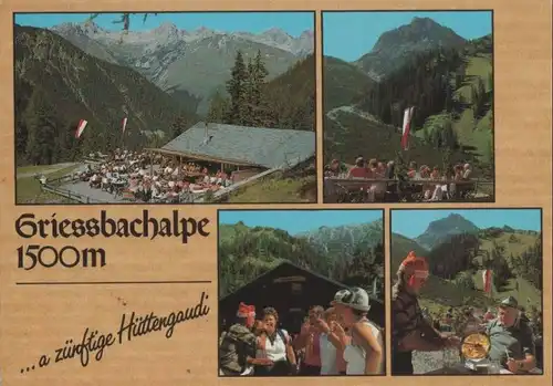 Österreich - Häselgehr - Österreich - Griessbachalpe