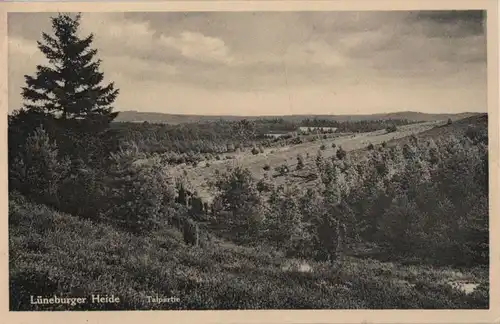 Lüneburger Heide - 1934