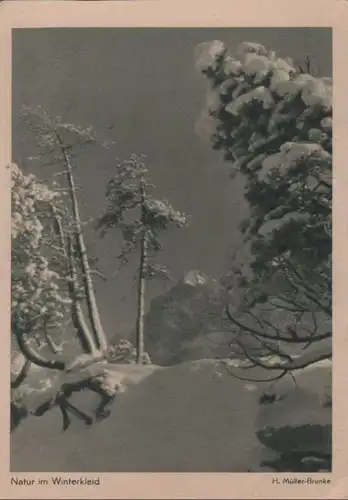 Natur im Winterkleid - ca. 1950