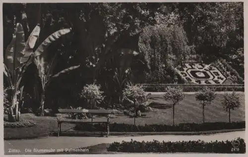 Zittau - Blumenuhr mit Palmenhain - 1936