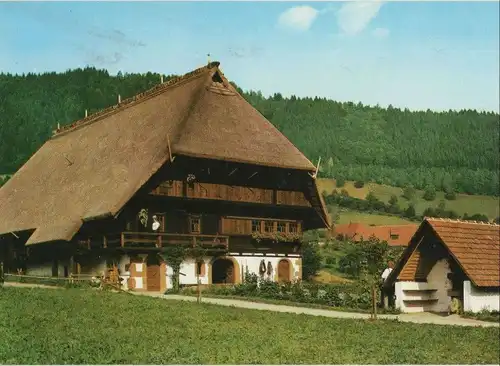 Winterberg-Altastenberg - Schwarzwaldhaus