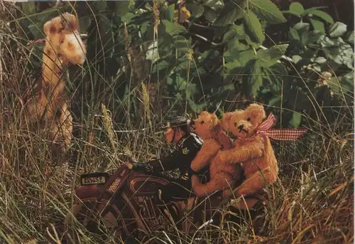 Teddybären auf Wiese