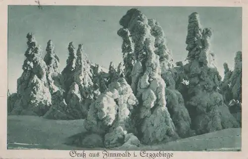 Altenberg - Gruß aus Zinnwald Erzgebirge - 1931