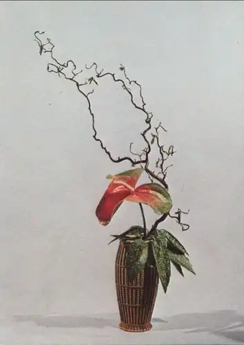 Ikebana Ein Blatt, eine Blüte