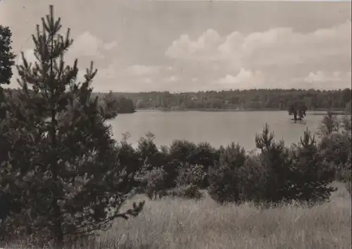 Stechlin-Neuglobsow - Am Dagowsee - 1974