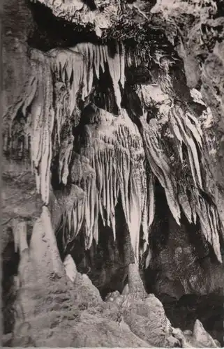 Teufelshöhle (Fränk. Schweiz) - Barbarossabart - ca. 1955