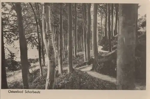 Scharbeutz - im Wald