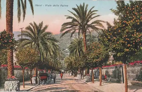 Italien - Italien - Nervi - Viale delle Palme - ca. 1925