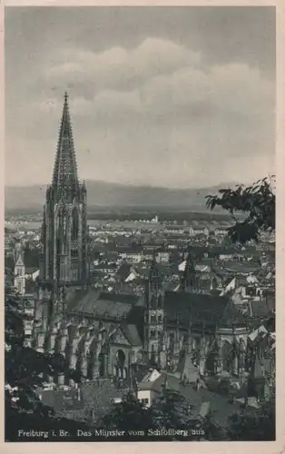 Freiburg - Münster vom Schloßberg aus - ca. 1955