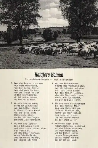 Lüneburger Heide - Haidjers Heimat