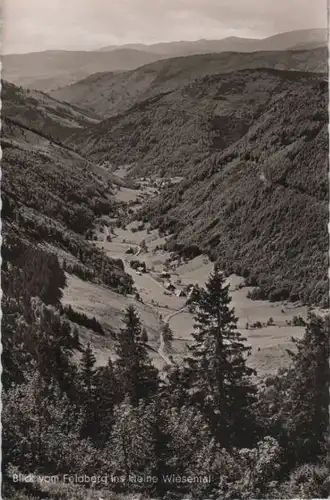 Feldberg / Schwarzwald - Blick ins kleine Wiesental - ca. 1960