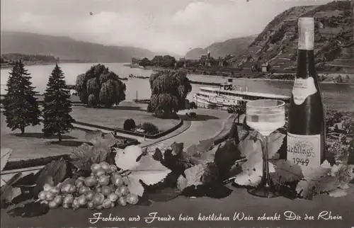 Andernach - Rheinanlagen - ca. 1960