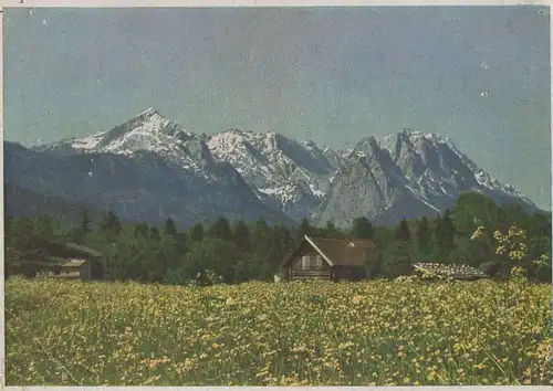 Gebirge Blumenwiese