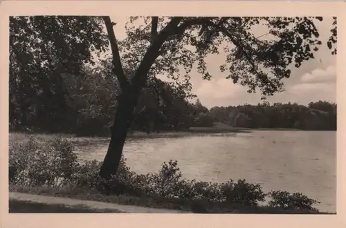 Rheinsberg - Im Park - 1960