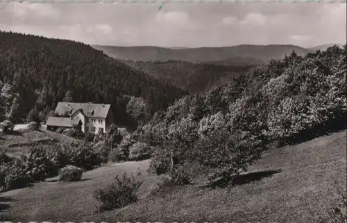 Hohegeiß - Waldhotel Dicke Tanne