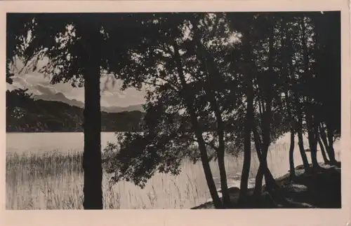 Bäume am See - ca. 1950