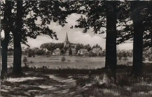 Harpstedt - im Walde - 1971