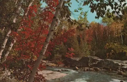 USA - USA - Arindock - Blue Ridge Falls - 1973