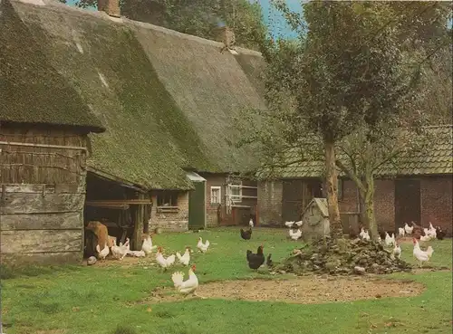 Niederlande - Drenthe - Niederlande - Bauernhof