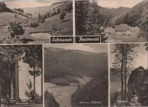 Frauenwald - u.a. Blick vom Pfaffkopf - 1967